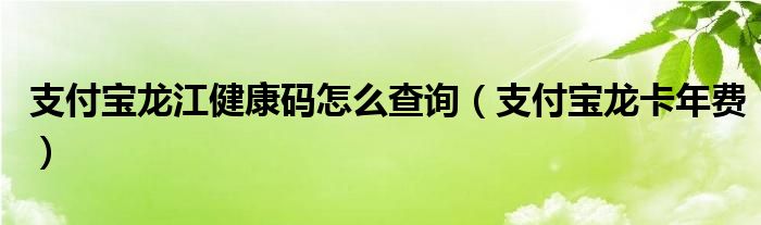 支付宝龙江健康码怎么查询（支付宝龙卡年费）