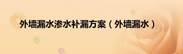 外墙漏水渗水补漏方案（外墙漏水）