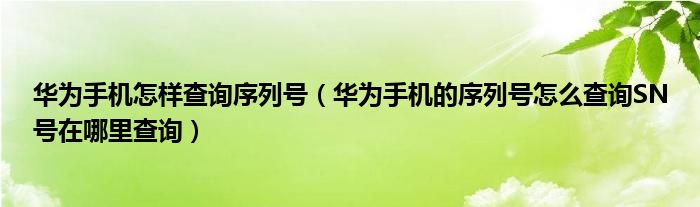 华为手机怎样查询序列号（华为手机的序列号怎么查询SN号在哪里查询）