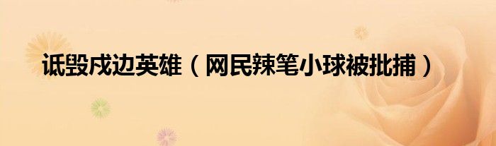 诋毁戍边英雄（网民辣笔小球被批捕）