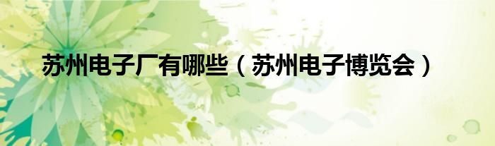 苏州电子厂有哪些（苏州电子博览会）