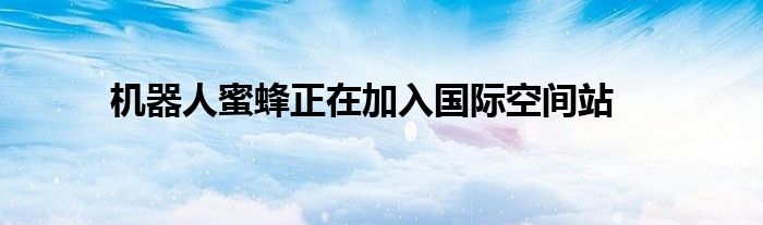 机器人蜜蜂正在加入国际空间站