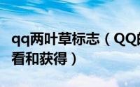 qq两叶草标志（QQ的三叶四叶草标识怎么查看和获得）