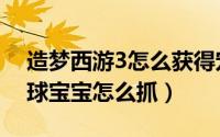 造梦西游3怎么获得宠物（造梦西游3宠物雪球宝宝怎么抓）
