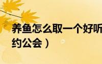 养鱼怎么取一个好听的公司名字（YY怎么签约公会）