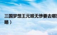 三国梦想王元姬无惨要去哪里下载（三国梦想王元姬无惨攻略）