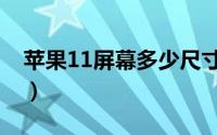 苹果11屏幕多少尺寸（苹果11屏幕多大尺寸）