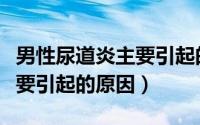 男性尿道炎主要引起的原因有（男性尿道炎主要引起的原因）