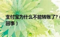 支付宝为什么不能转账了?（支付宝今天不能转账了是怎么回事）