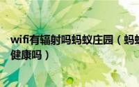 wifi有辐射吗蚂蚁庄园（蚂蚁庄园问题WiFi辐射会危害身体健康吗）