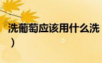 洗葡萄应该用什么洗（正确洗葡萄有哪些方法）