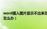 word插入图片显示不出来怎么办（word插入图片显示不出怎么办）