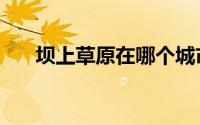 坝上草原在哪个城市（坝上草原在哪）