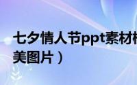 七夕情人节ppt素材模板（PPT制作情人节唯美图片）