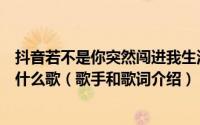 抖音若不是你突然闯进我生活我怎会把厮守的寂寞放任了是什么歌（歌手和歌词介绍）