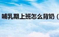 哺乳期上班怎么背奶（上班后妈妈怎么背奶）