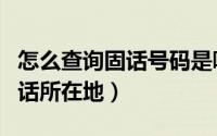 怎么查询固话号码是哪家公司的（怎么查询固话所在地）