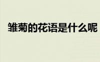 雏菊的花语是什么呢（雏菊的花语是什么）