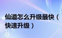 仙道怎么升级最快（《神仙道》高玩教你如何快速升级）