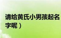 请给黄氏小男孩起名（黄氏男宝宝该怎么起名字呢）