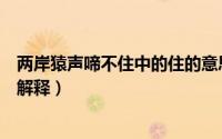 两岸猿声啼不住中的住的意思（两岸猿声啼不住中的住如何解释）