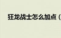 狂龙战士怎么加点（狂龙战士怎么加点）