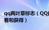 qq两叶草标志（QQ的三叶四叶草标识怎么查看和获得）