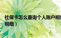 社保卡怎么查询个人账户明细表（社保卡怎么查询个人账户明细）