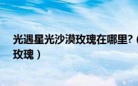 光遇星光沙漠玫瑰在哪里?（光遇游戏中怎么找到星光沙漠玫瑰）