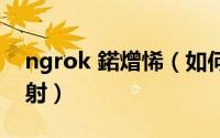 ngrok 鍩熷悕（如何使用ngrok进行域名映射）