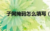子网掩码怎么填写（子网掩码怎么计算）