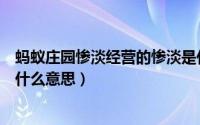 蚂蚁庄园惨淡经营的惨淡是什么意思（蚂蚁庄园久假不归是什么意思）