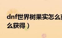 dnf世界树果实怎么获得（dnf世界树果实怎么获得）