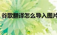 谷歌翻译怎么导入图片（谷歌翻译怎么发音）
