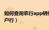 如何查询农行app转账明细（如何查询农行开户行）
