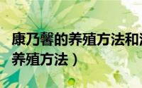 康乃馨的养殖方法和注意事项北方（康乃馨的养殖方法）
