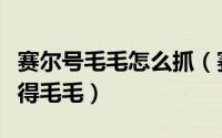 赛尔号毛毛怎么抓（赛尔号游戏攻略之如何获得毛毛）