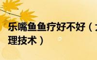 乐嘴鱼鱼疗好不好（大嘴鱼鱼疗正确饲养与管理技术）