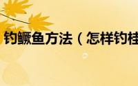 钓鳜鱼方法（怎样钓桂鱼之鳜鱼的四种钓法）