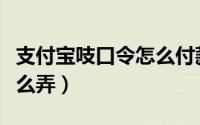 支付宝吱口令怎么付款（支付宝收款吱口令怎么弄）