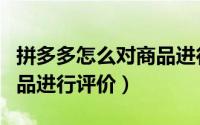 拼多多怎么对商品进行分类（拼多多怎么对商品进行评价）