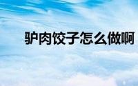驴肉饺子怎么做啊（驴肉饺子怎么做）