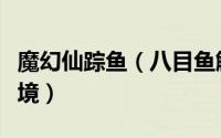 魔幻仙踪鱼（八目鱼解析《魔法仙踪》古老秘境）