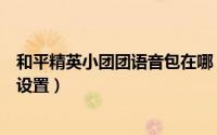 和平精英小团团语音包在哪（和平精英小团团语音包在哪里设置）