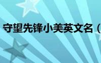 守望先锋小美英文名（守望先锋小美怎么玩）