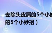 去除头皮屑的5个小妙招是什么（去除头皮屑的5个小妙招）