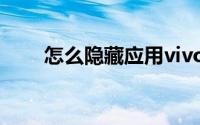怎么隐藏应用vivo（怎么隐藏应用）