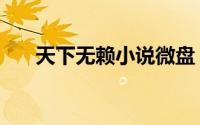 天下无赖小说微盘（天下无赖怎么用）