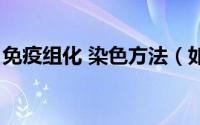 免疫组化 染色方法（如何做好免疫组化染色）