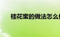 桂花蜜的做法怎么做（桂花蜜的做法）